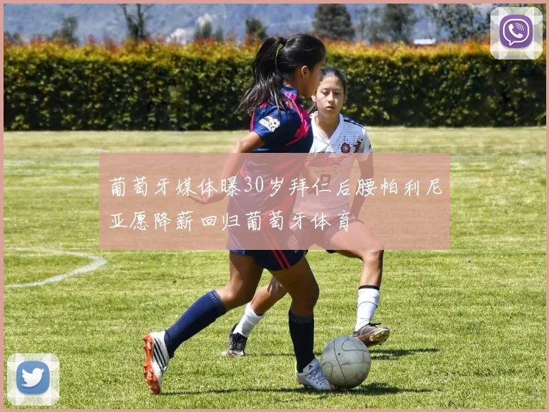 葡萄牙媒体曝30岁拜仁后腰帕利尼亚愿降薪回归葡萄牙体育